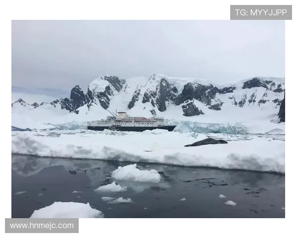羽毛球场上的奋斗与梦想赵强的深度对话人生旅程